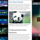 Illustration for article titled Android Apps of the Week: Zagat, Microsoft Office, and More